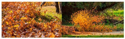DMUCHAWA SPALINOWA OGRODOWA DO LIŚCI ŚNIEGU TRAWY 5,2KM