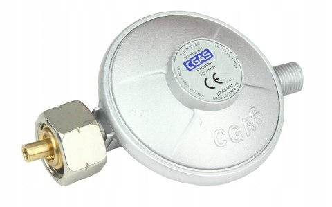 Nagrzewnica gazowa Boxer 25 kW